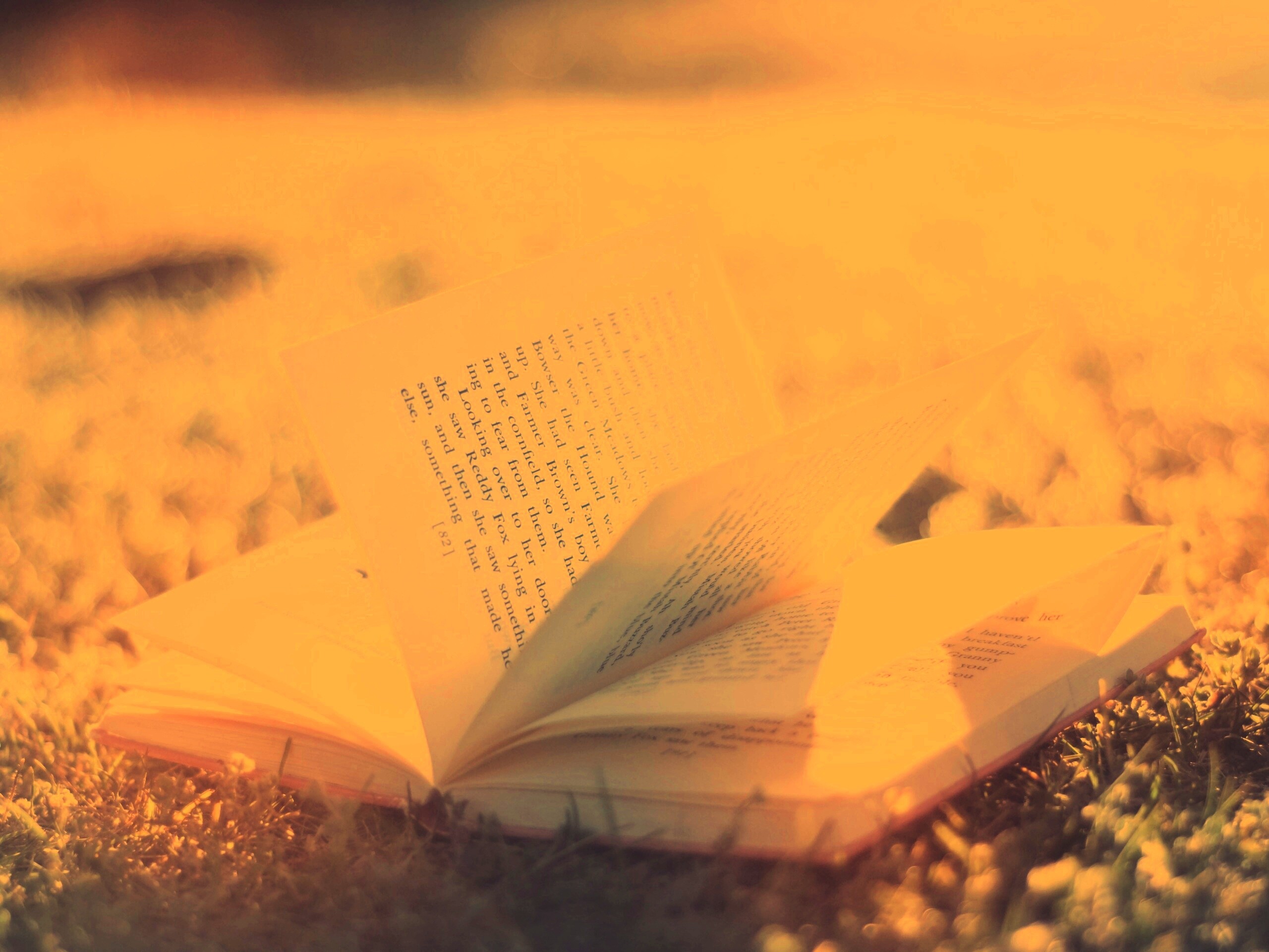 Книга в нежном свете обои