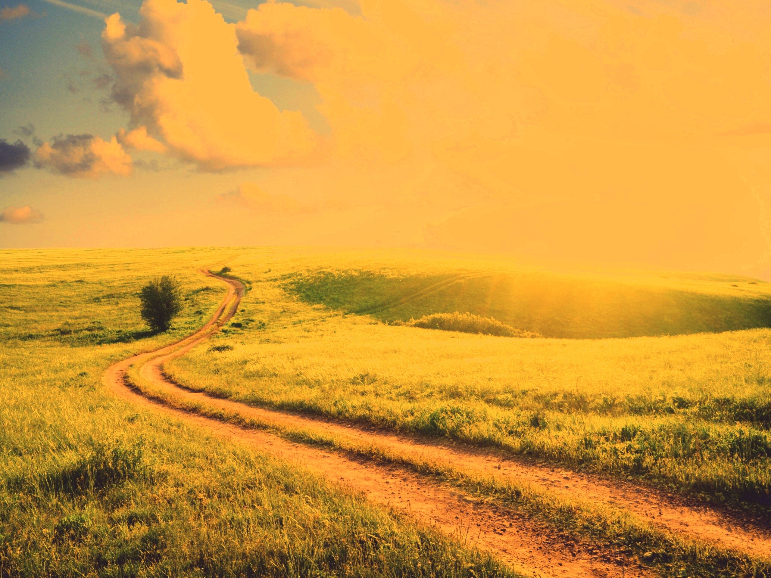 Дорога через луг обои