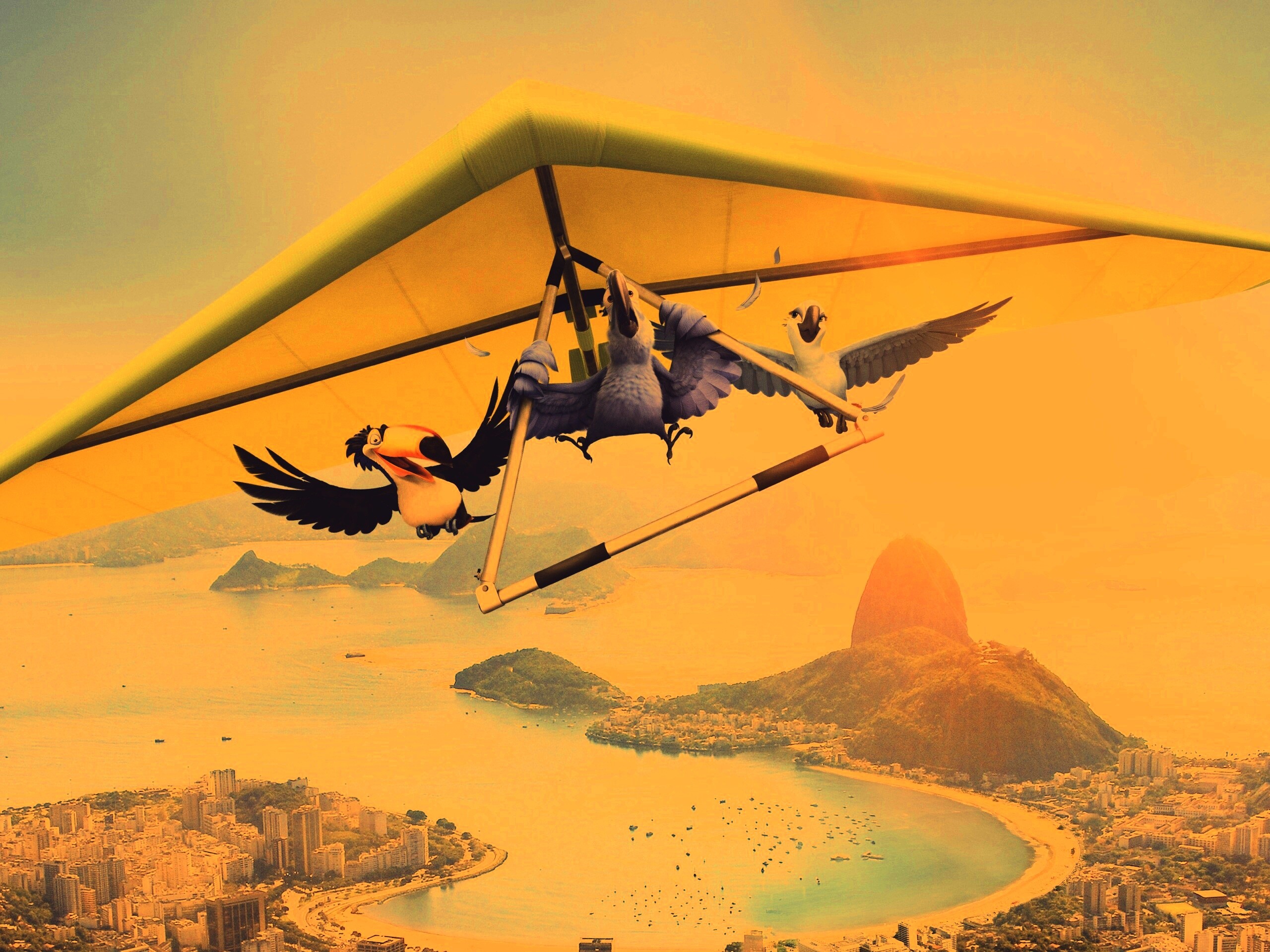 Герои мультфильма Рио обои