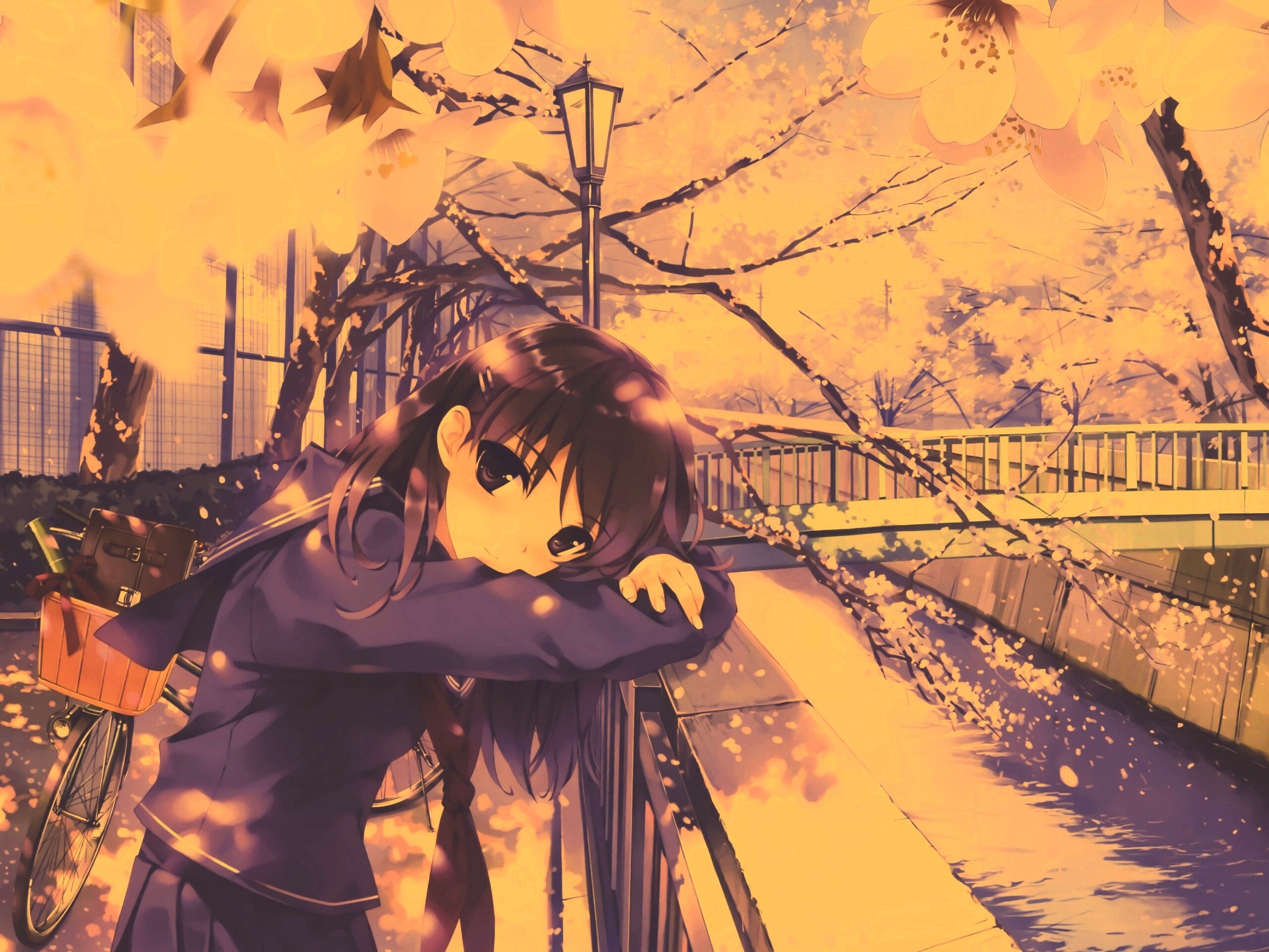 Девушка среди лепестков сакуры обои