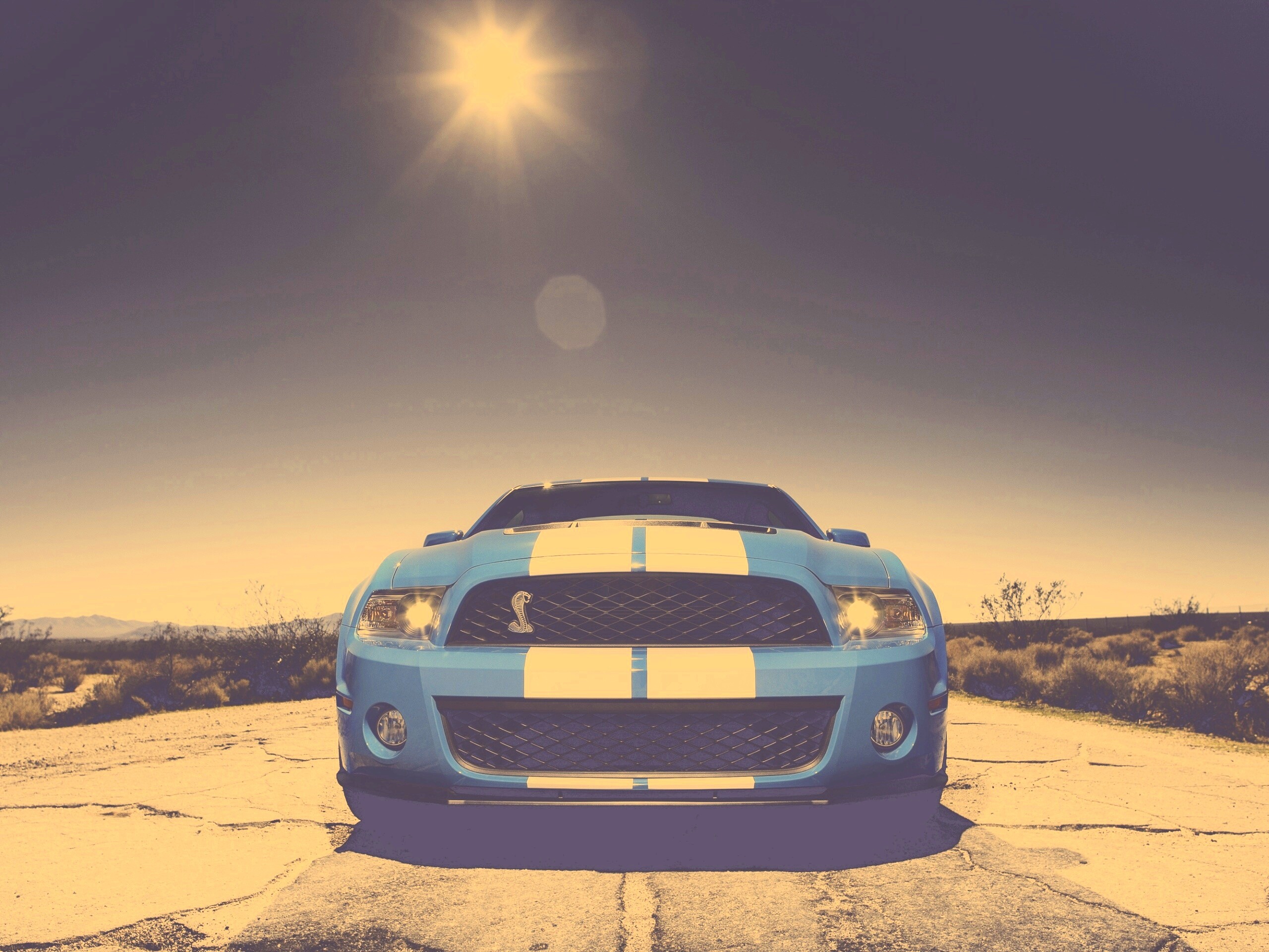 Форд Шелби обои