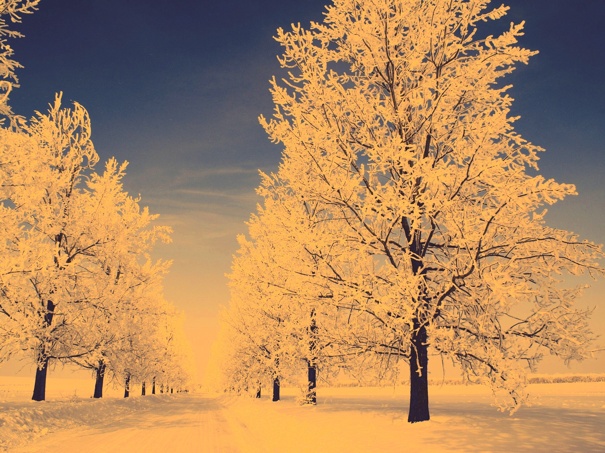 Снежная долина обои