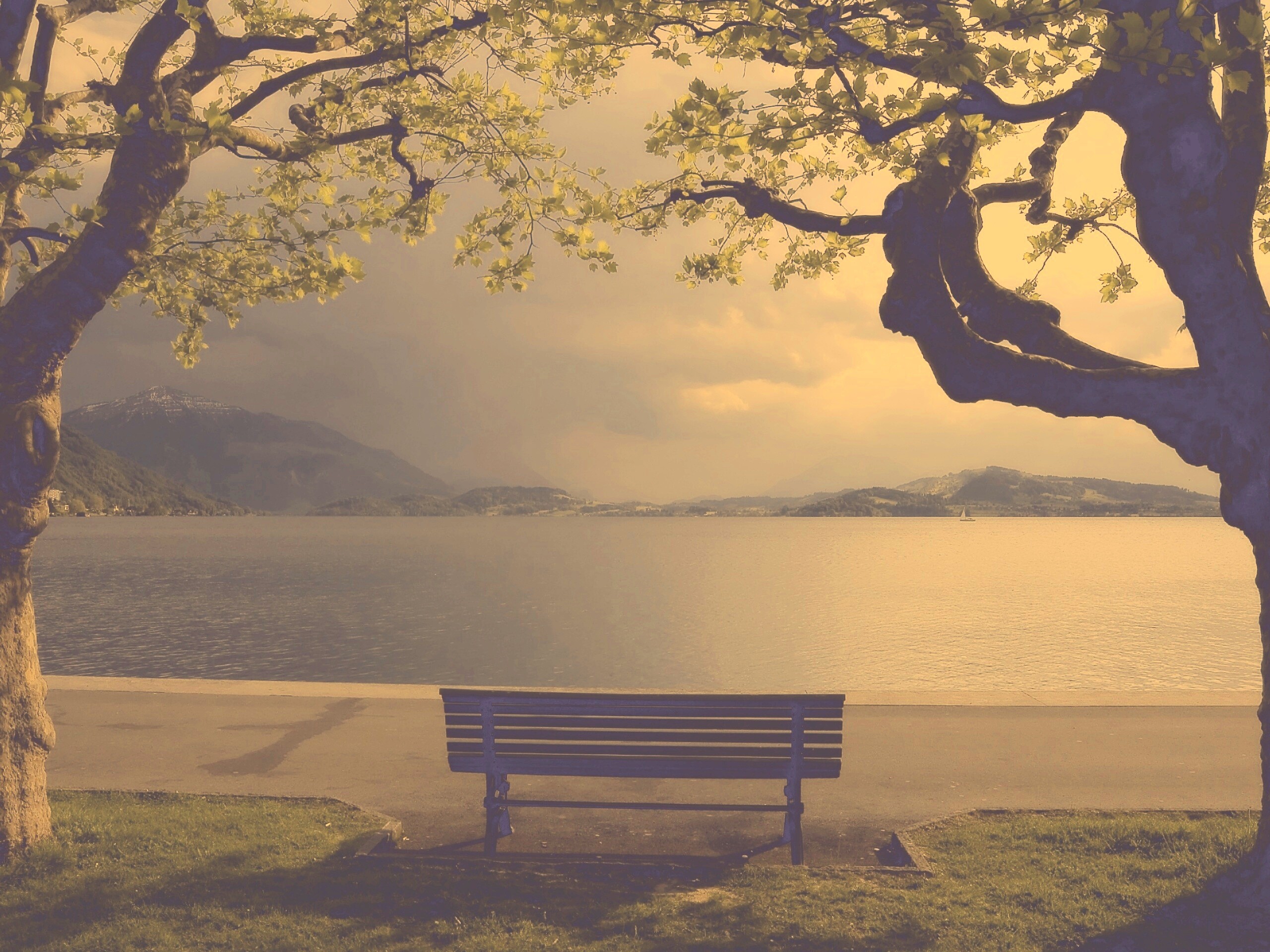 Скамейка на берегу обои