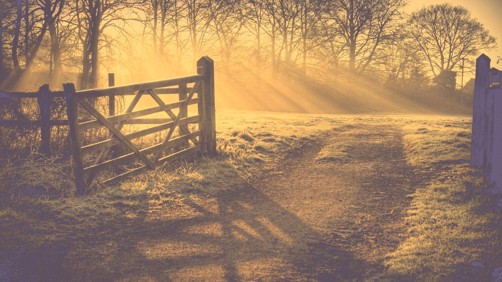 Открытые ворота обои