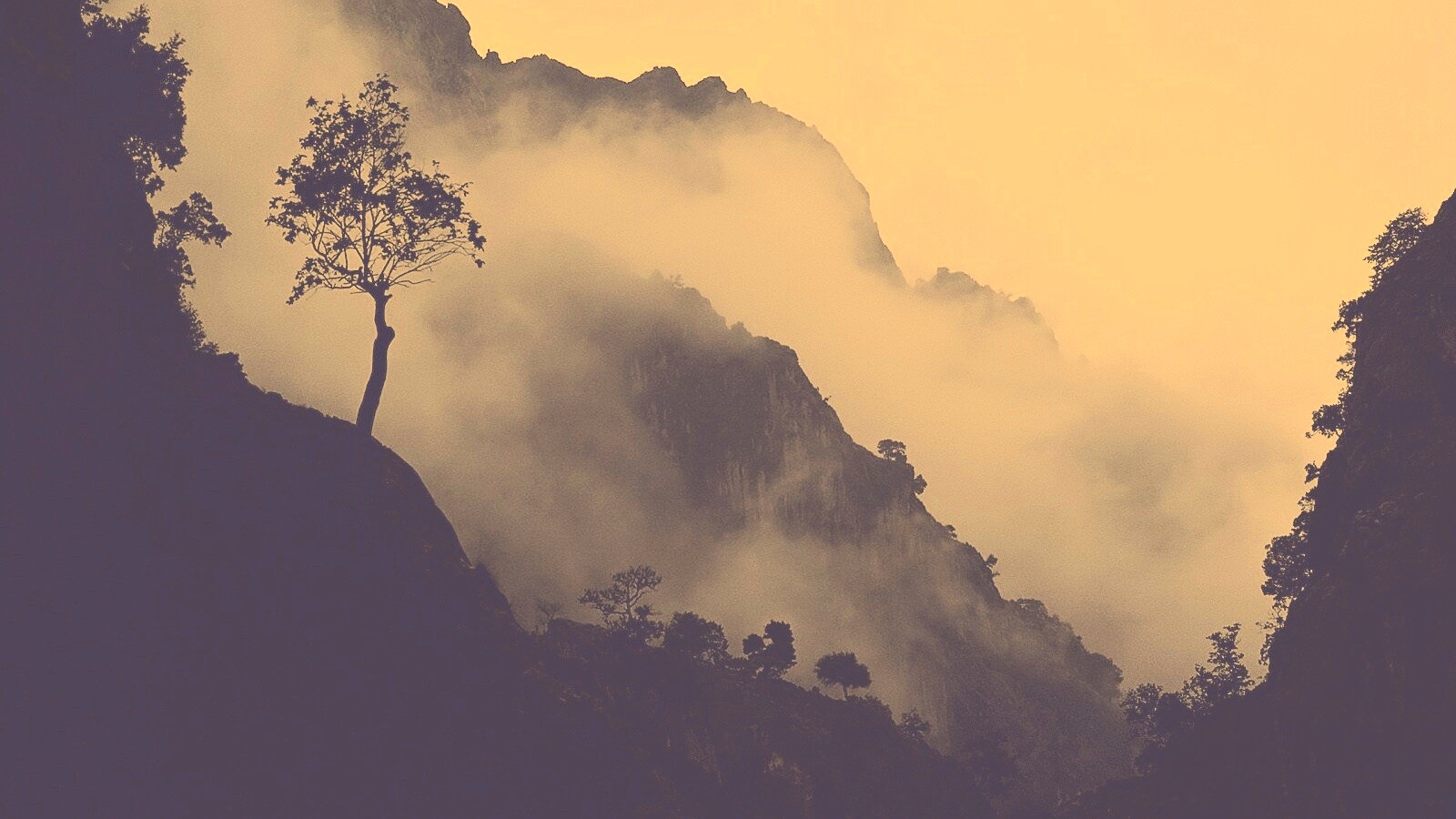 Сумерик в горах обои