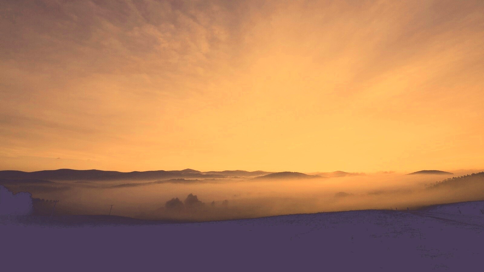 Утренний туман обои