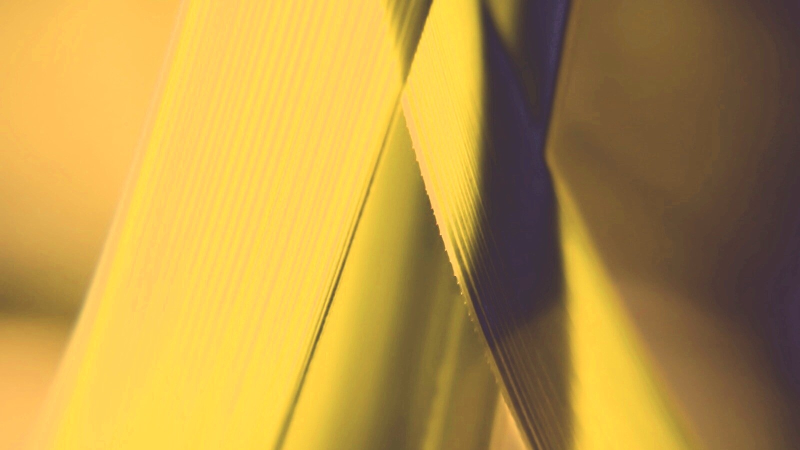 Травинки на свету обои