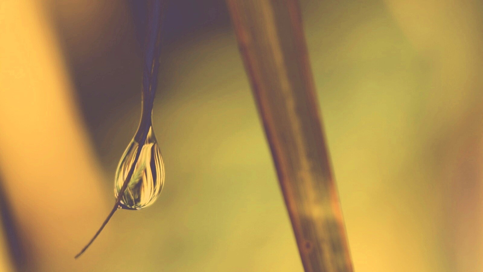 Стекающая капля обои