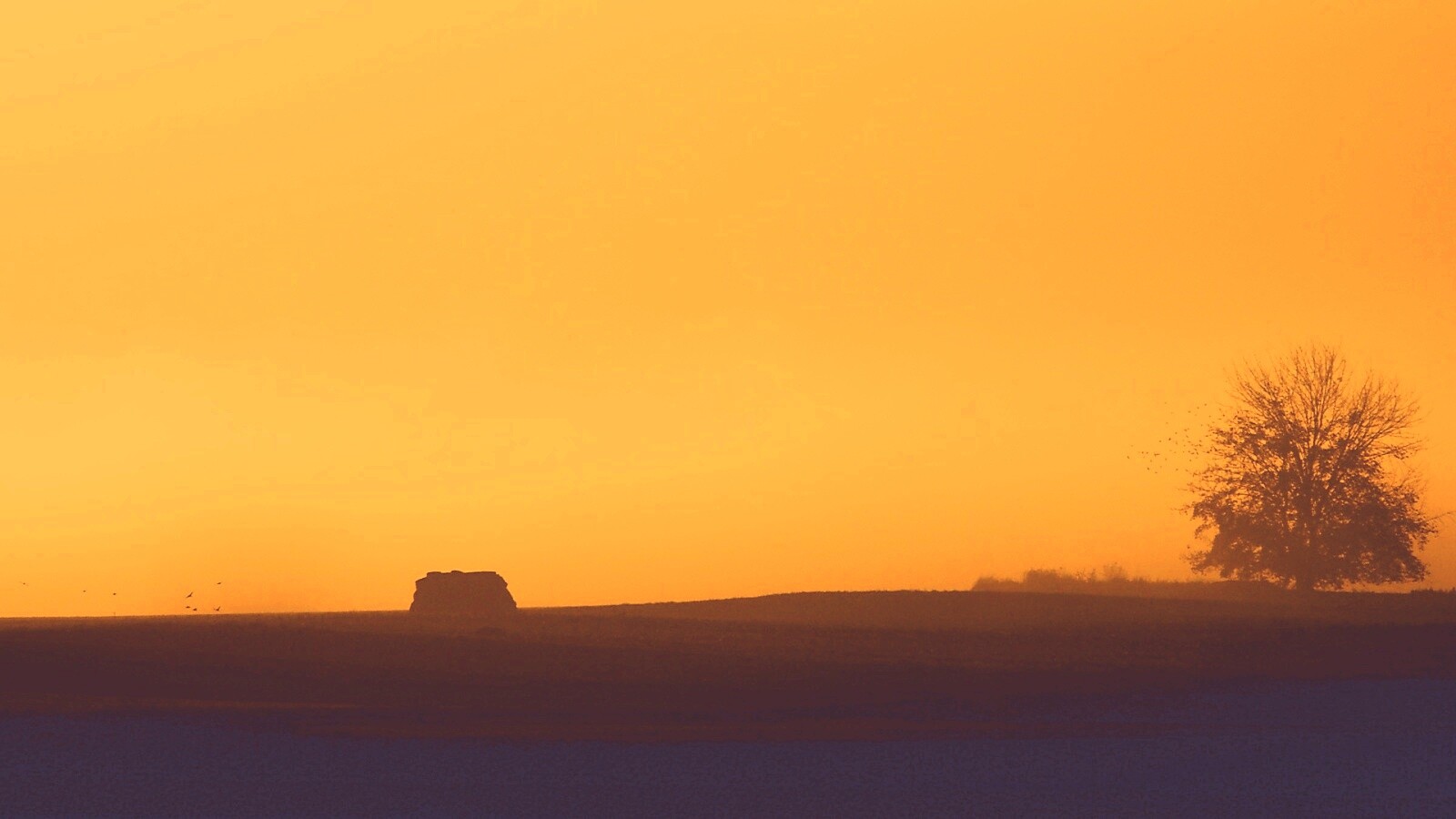 Убранное поле обои