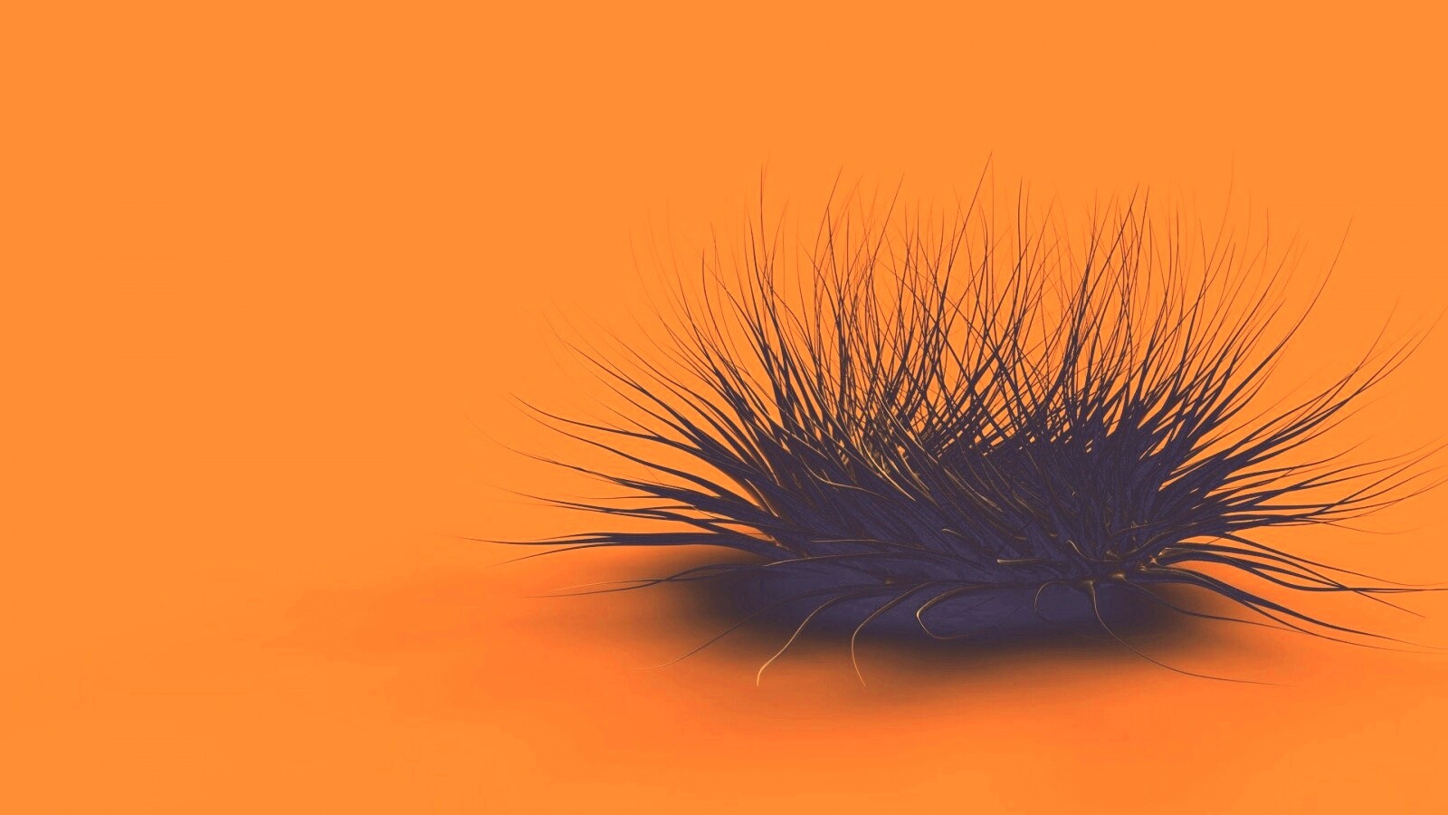 Волосатая мочалка обои