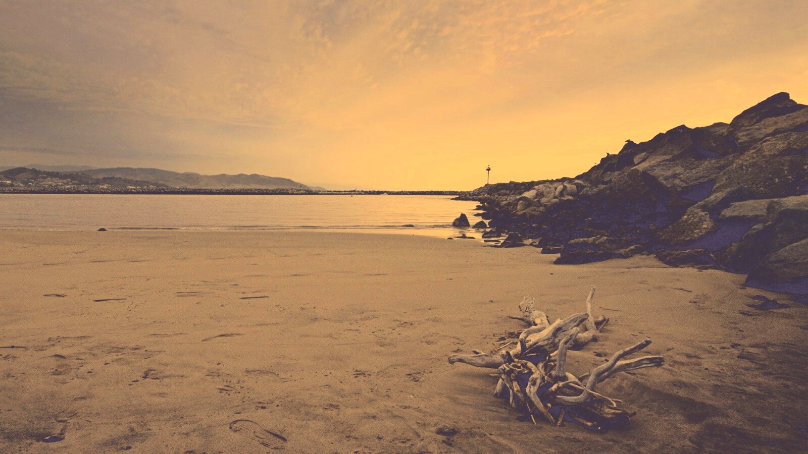 Коряга не берегу обои