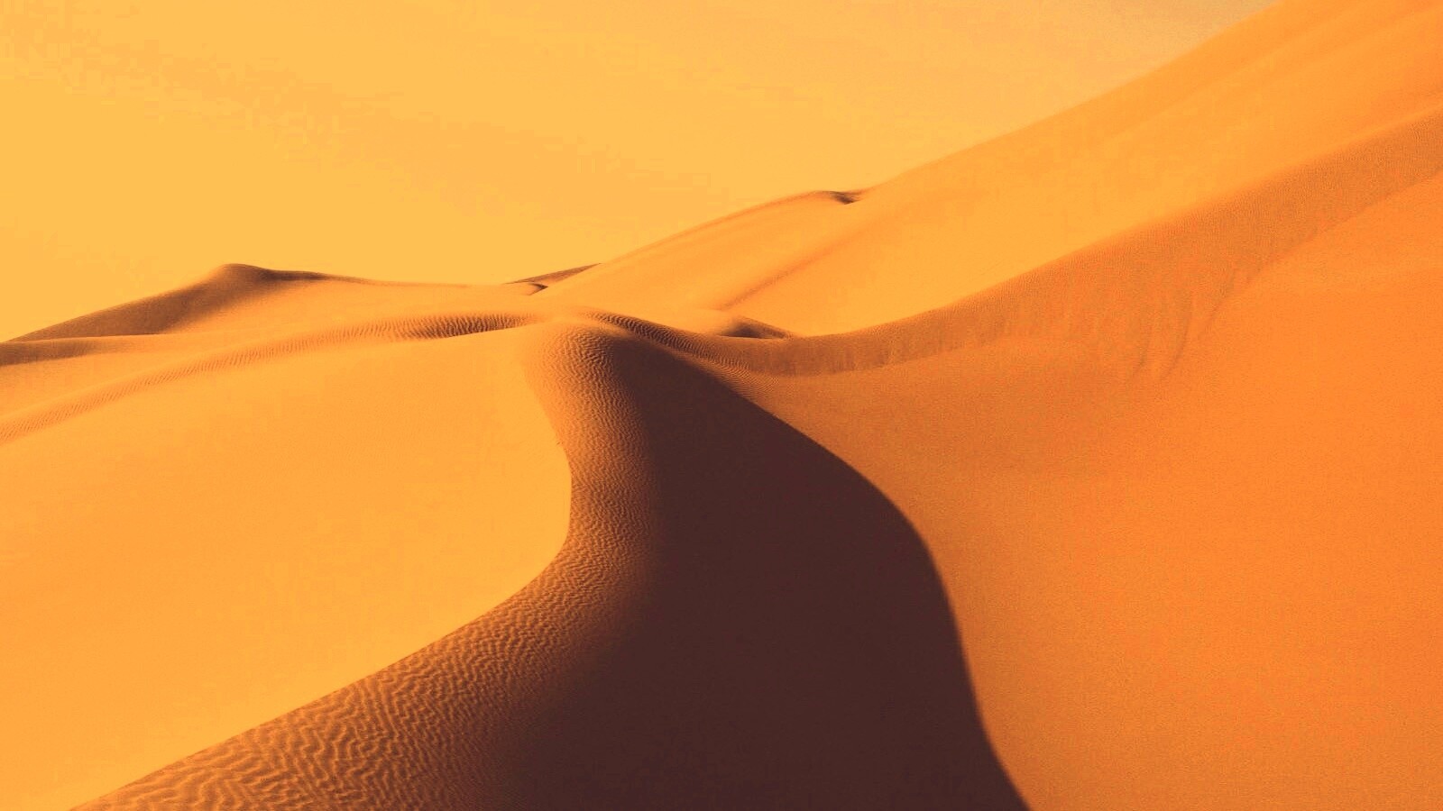 Барханы в пустыне обои