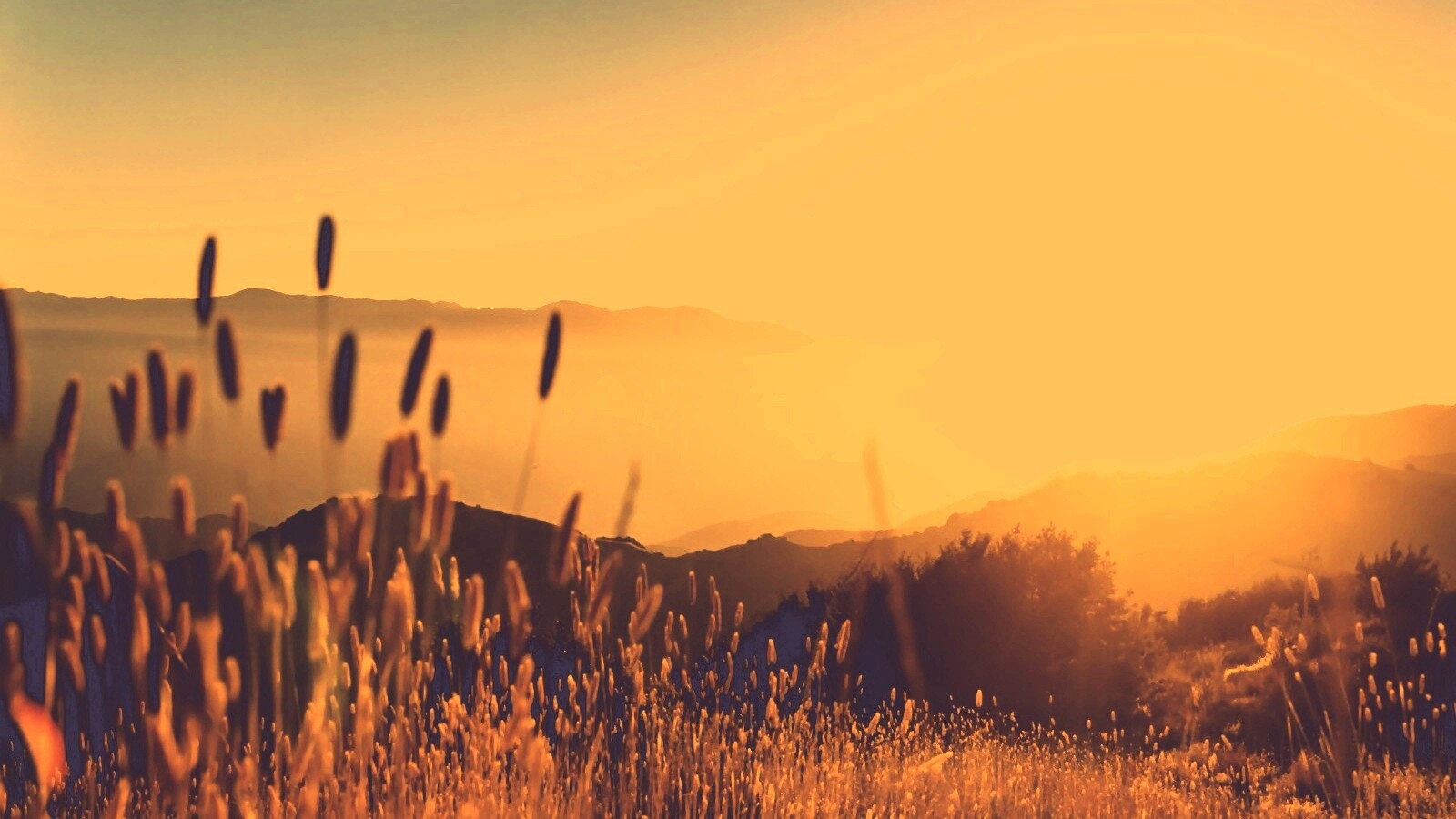 Восход над холмами обои