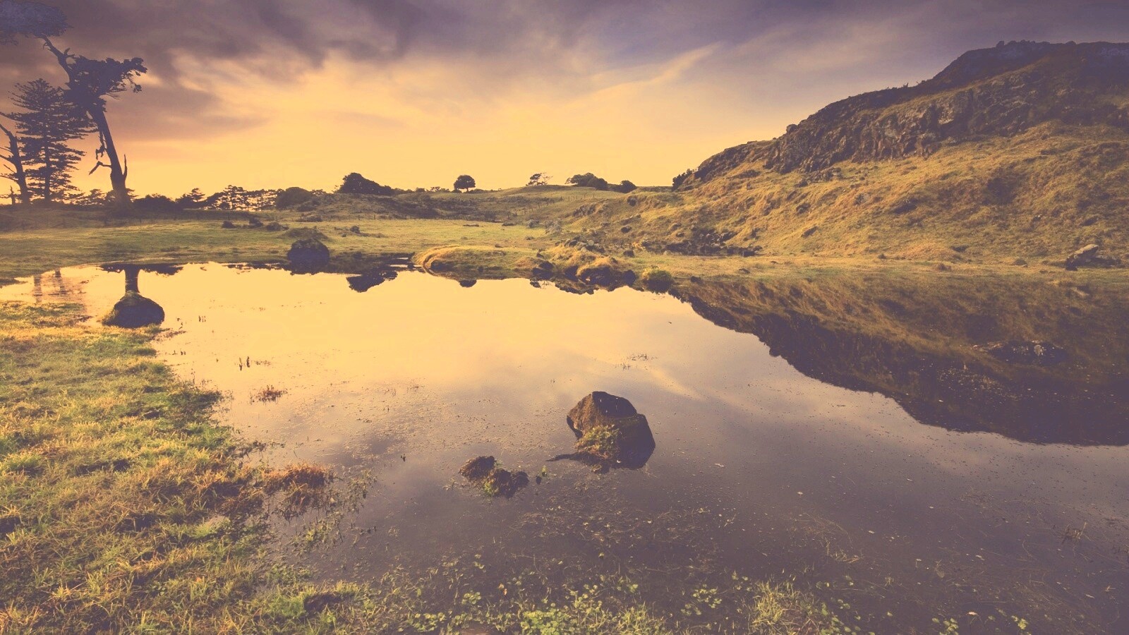 Затопленная долина в Новой Зеландии обои