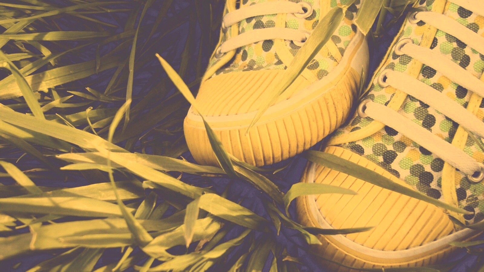 Желтые кеды в горошек обои