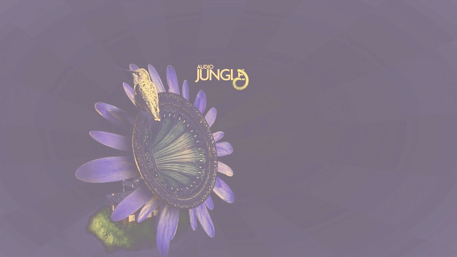 Звуки джунглей обои