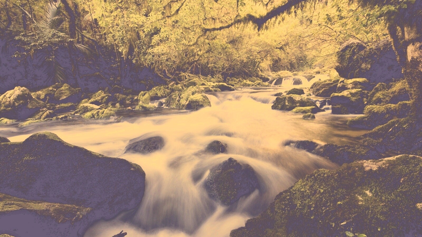 Лесной руче обои