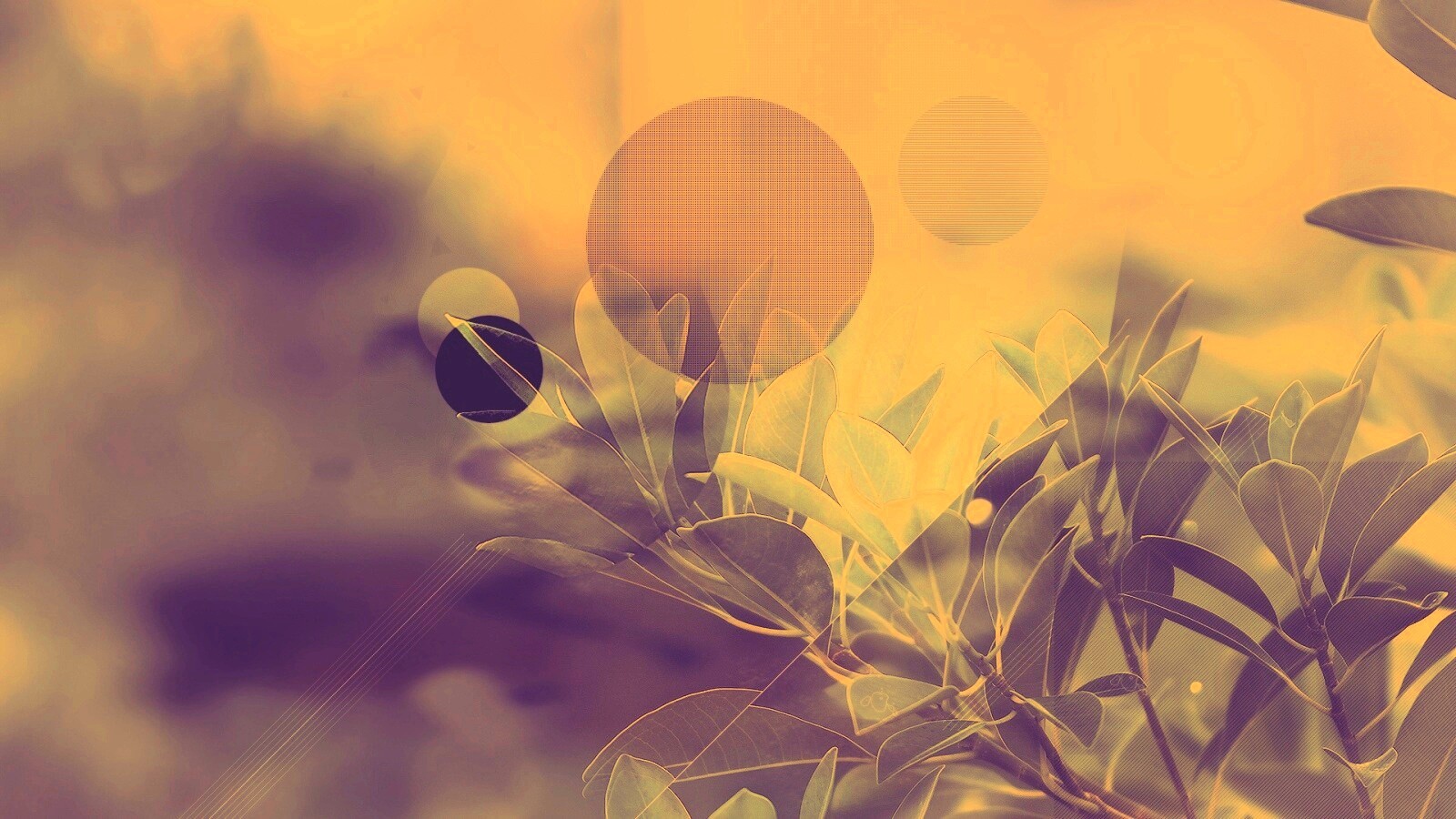 Синий фильтр с кргуами на фото листьев обои