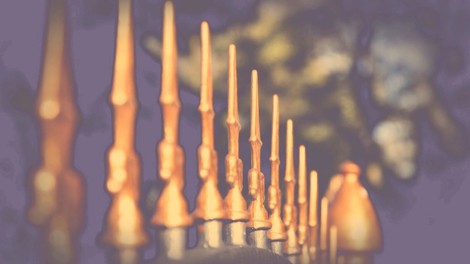 Оранжевые наконечники на ограде обои