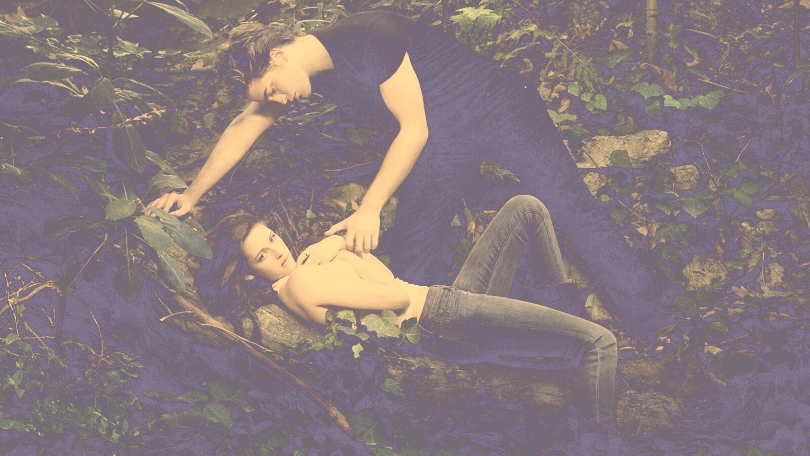 Эдвард и Белла в лесу обои