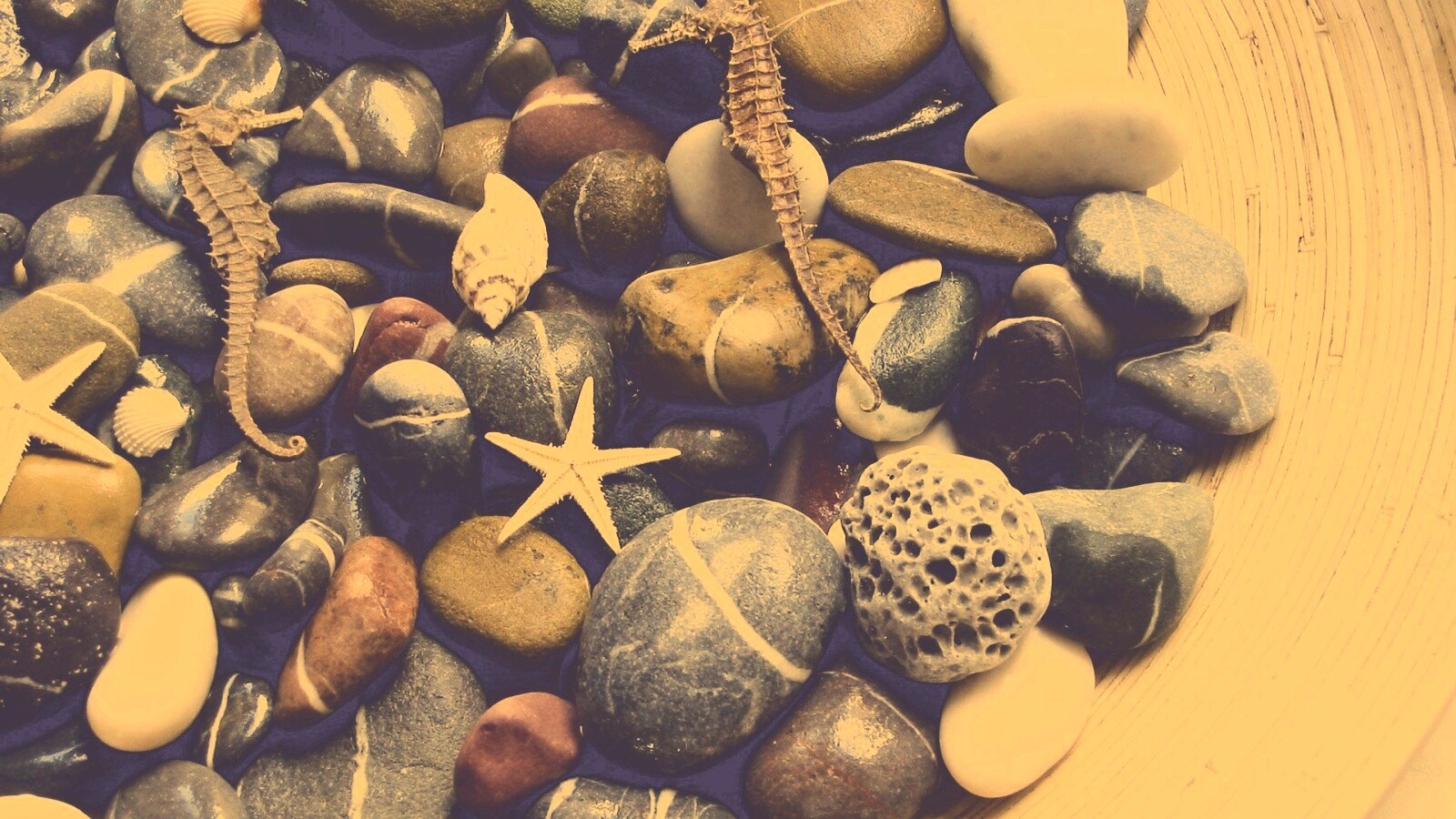Морские камешки и фауна обои