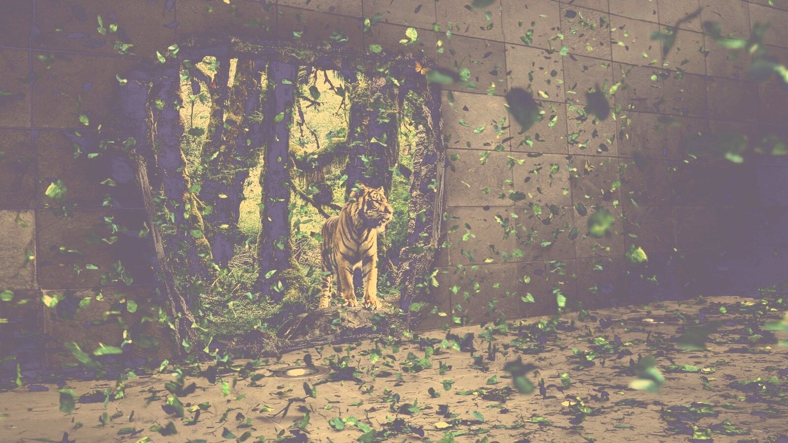 Портал в джунги обои