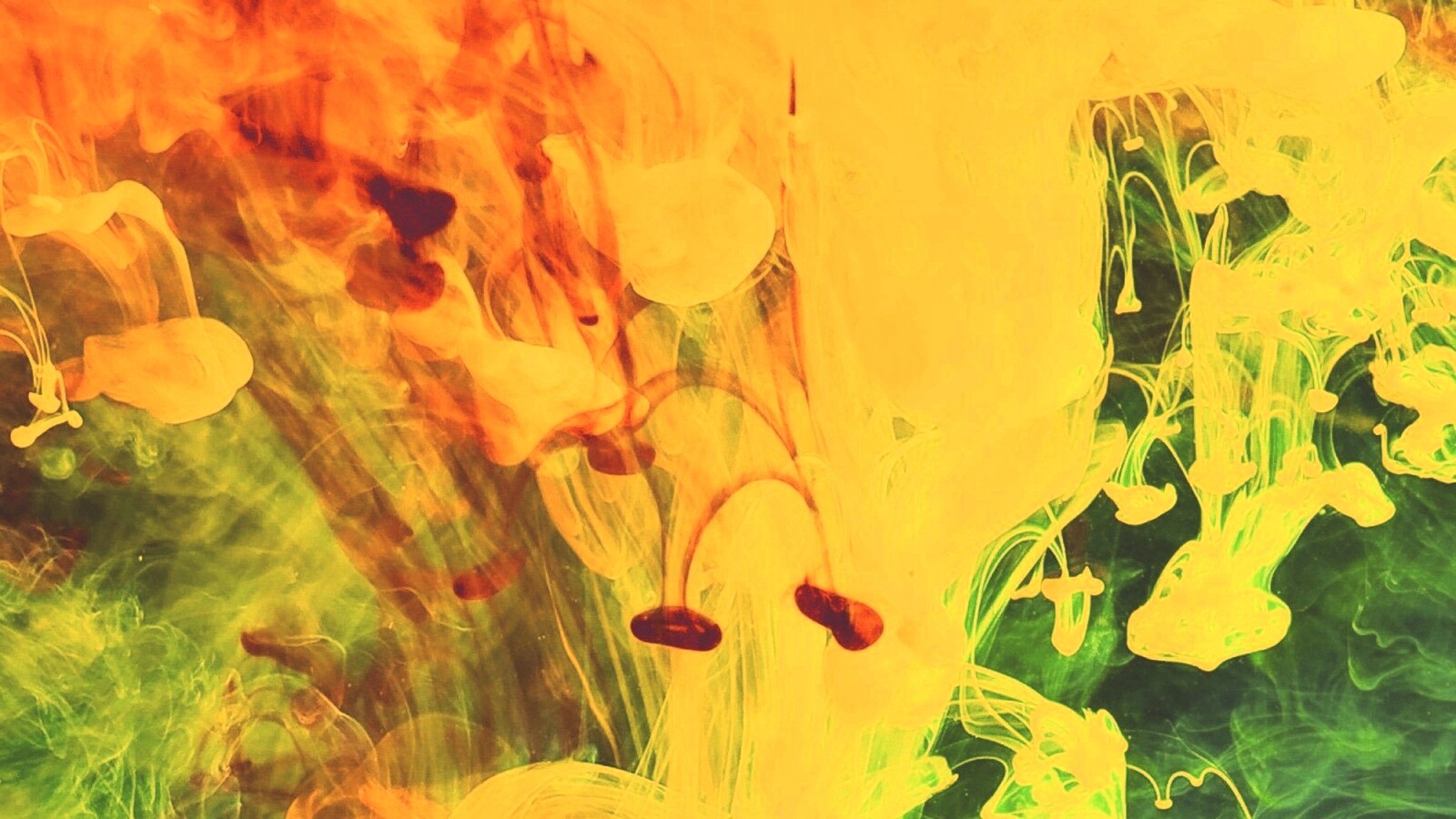 Краска растворяется в воде обои