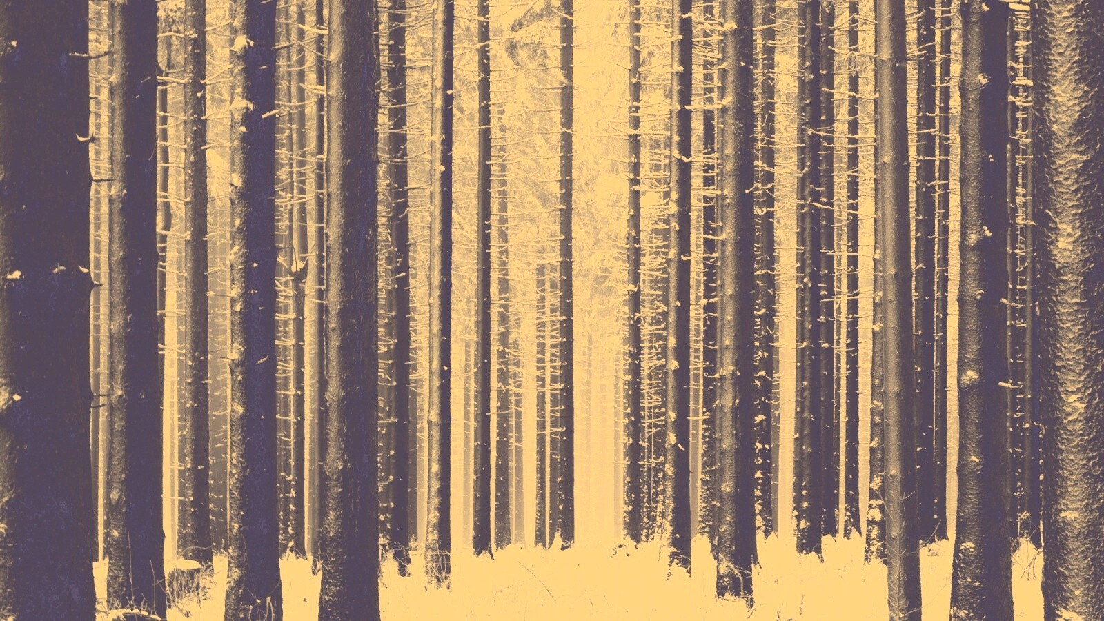 Зимний лес как штрихкод обои