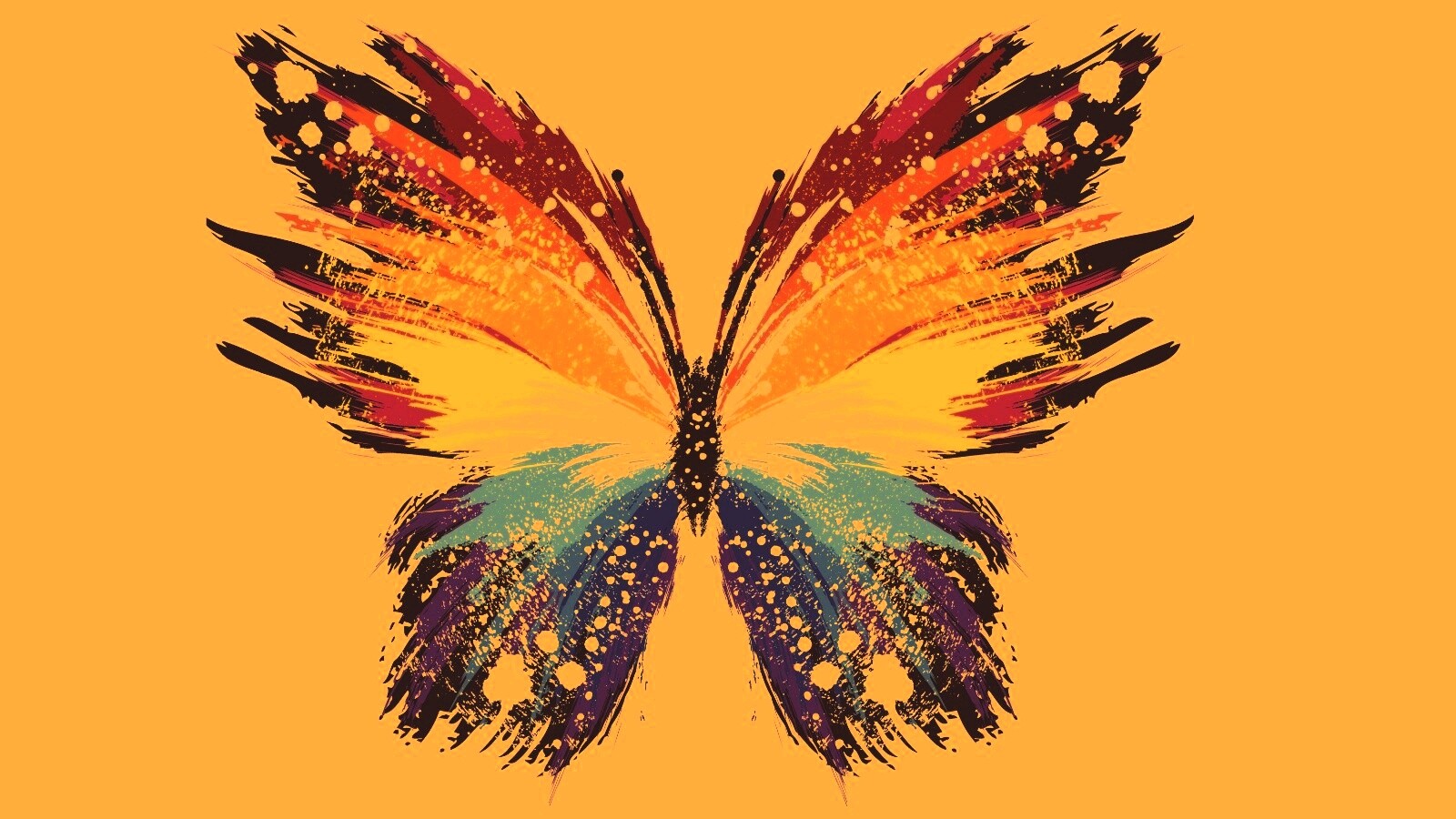 Нарисованная бабочка обои