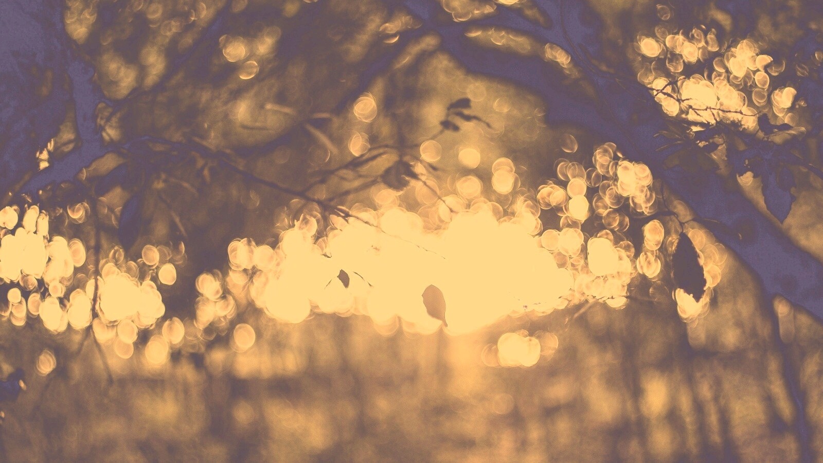 Размытый свет в парке обои