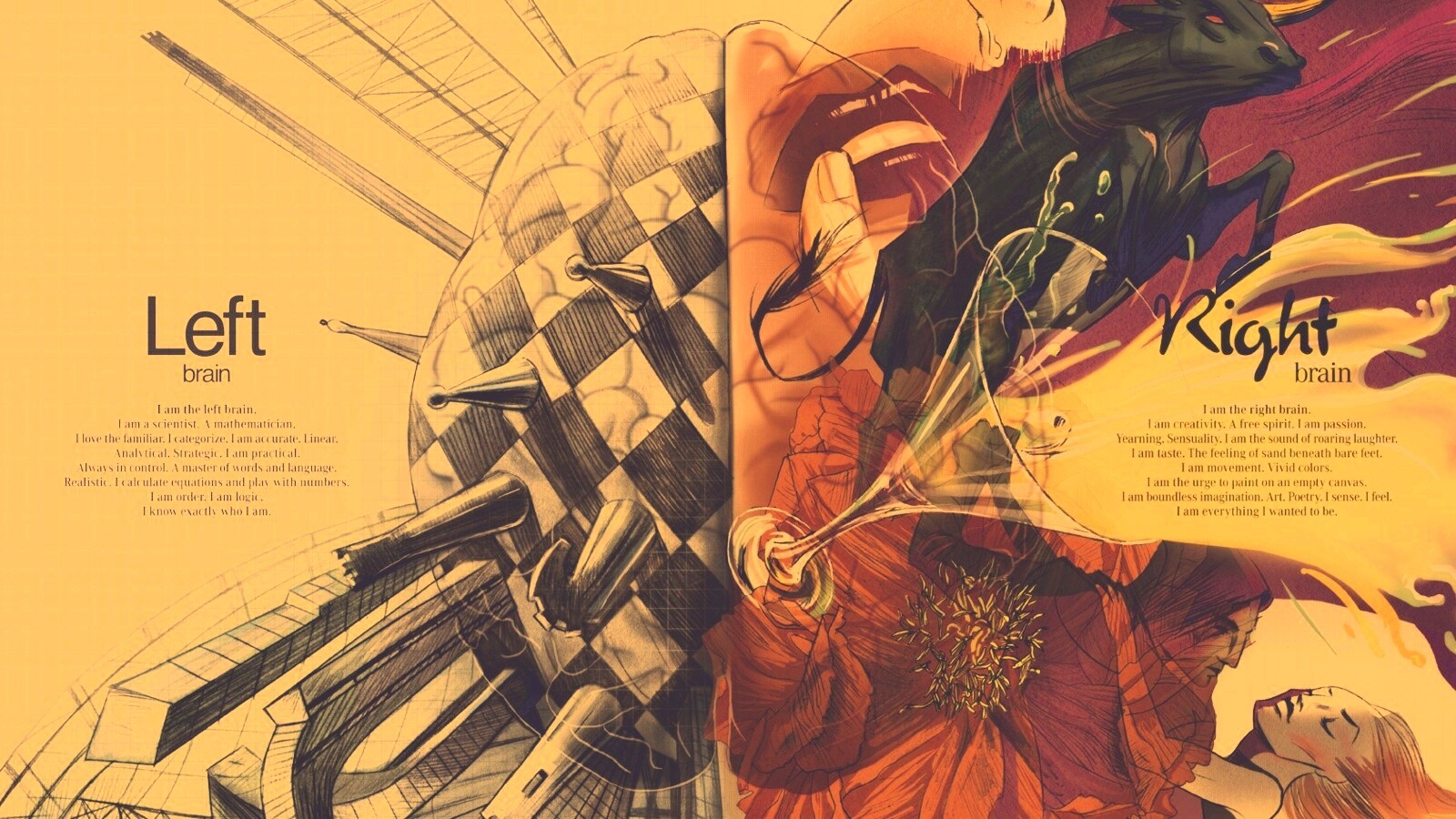 Левая и правая часть мозга обои