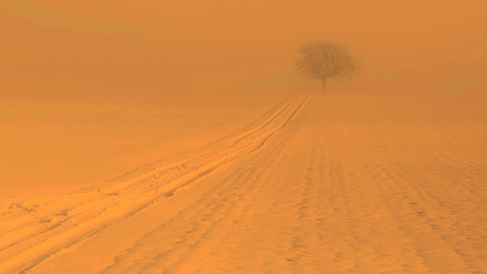 Заснеженное поле обои