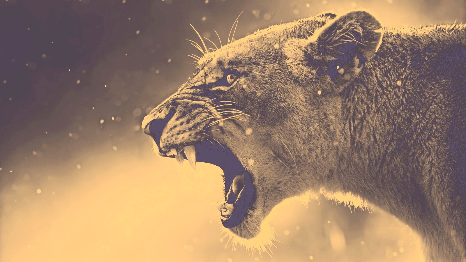 Грозный львиный рык обои