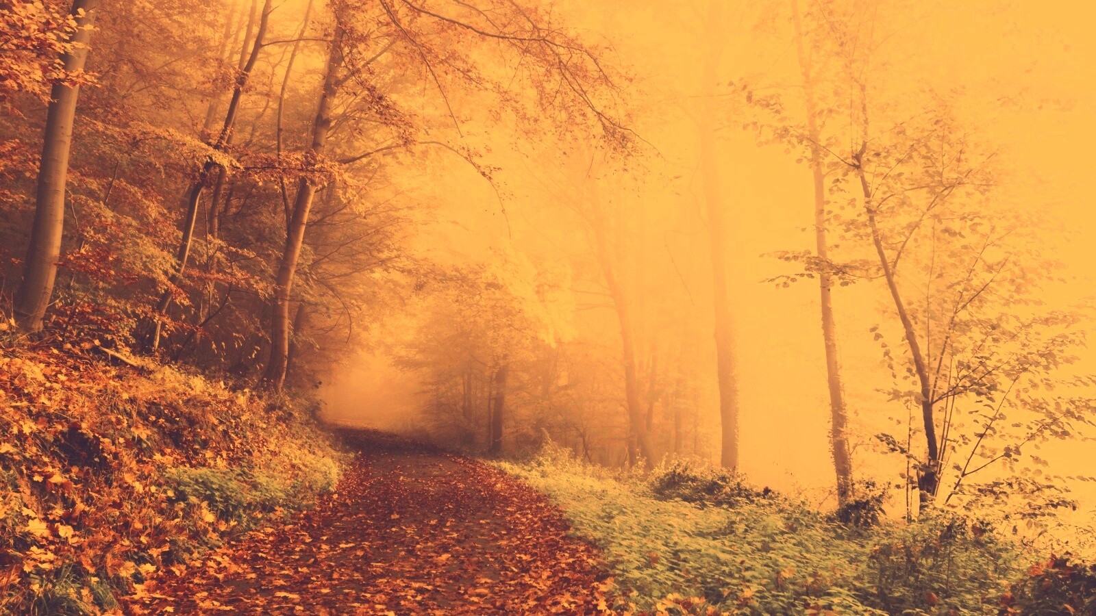 Осенний мистический пейзаж обои