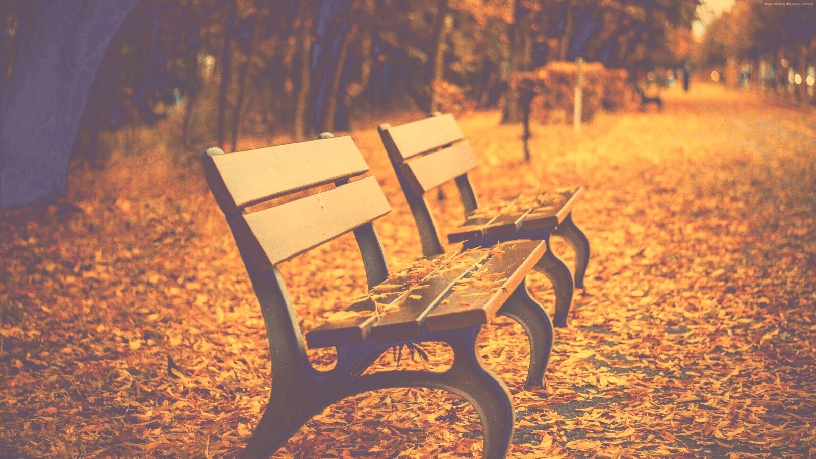 Лавочки в осеннем парке обои