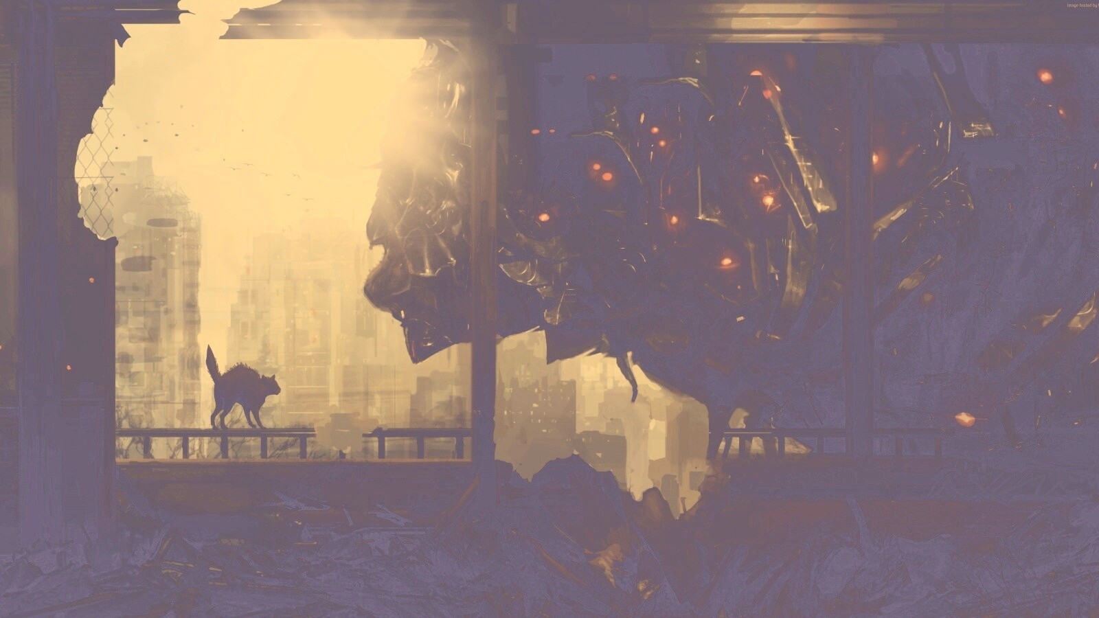 Кошкино удивление обои