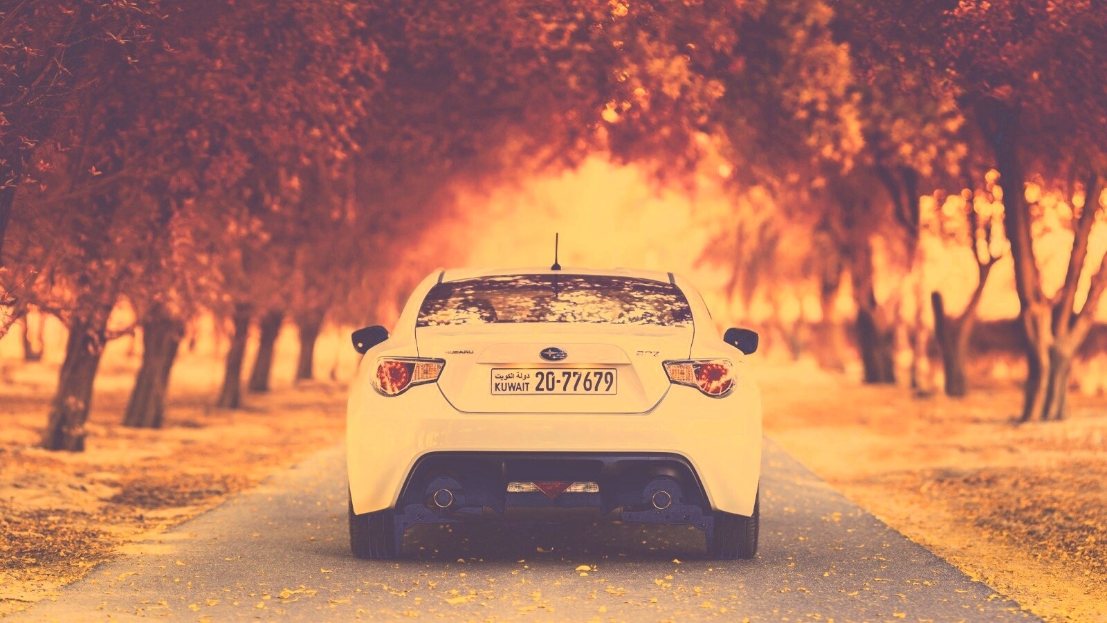 Субару на осенней дороге обои