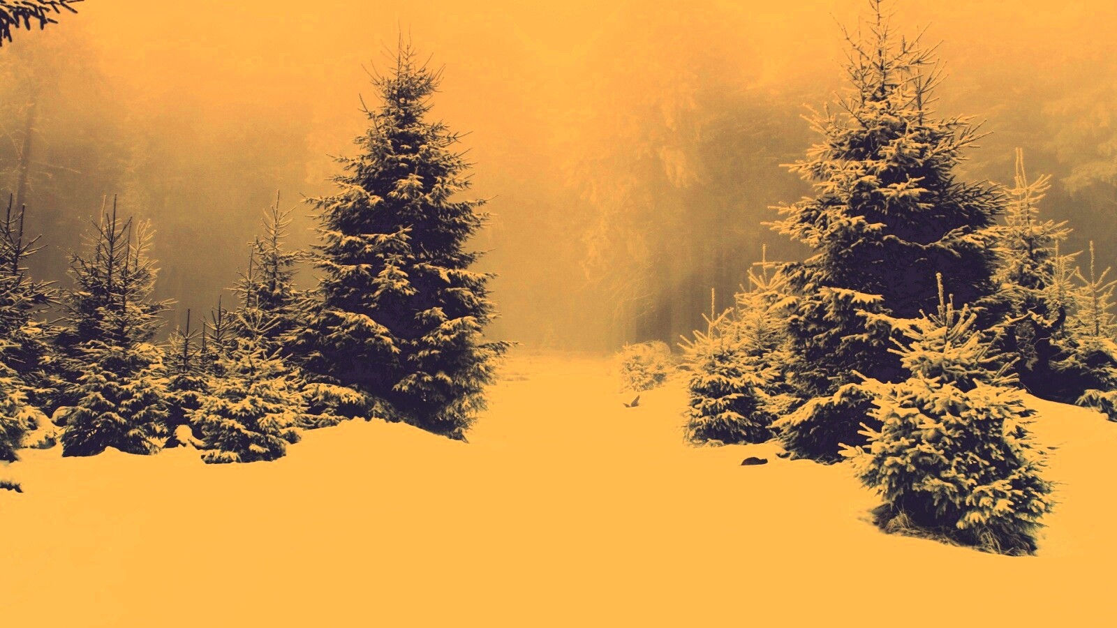 Ёлки в сугробах обои