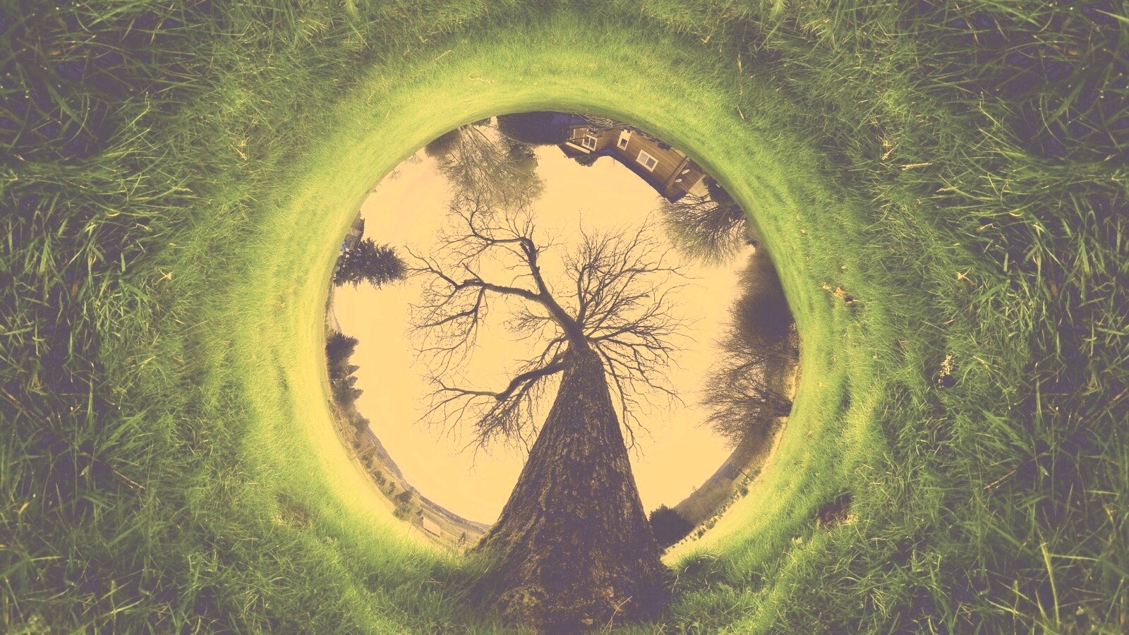 Другой взгляд на мир обои