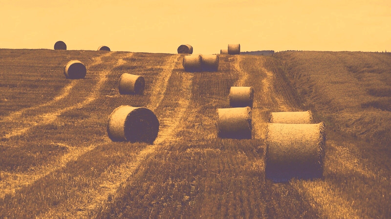 Уборка сена с поля обои