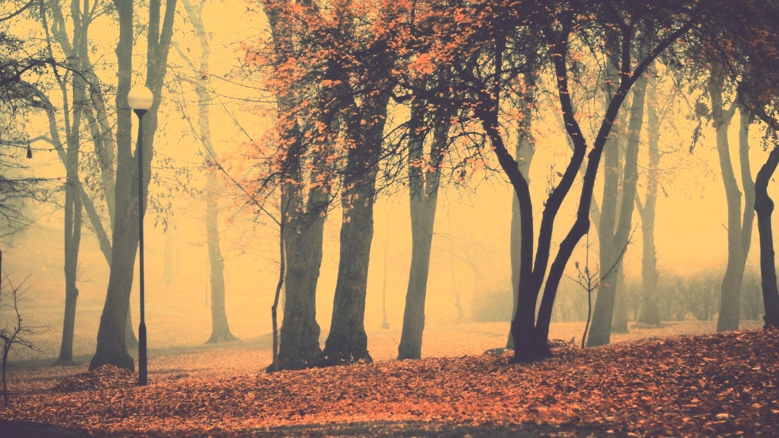 Парк красных листьев обои