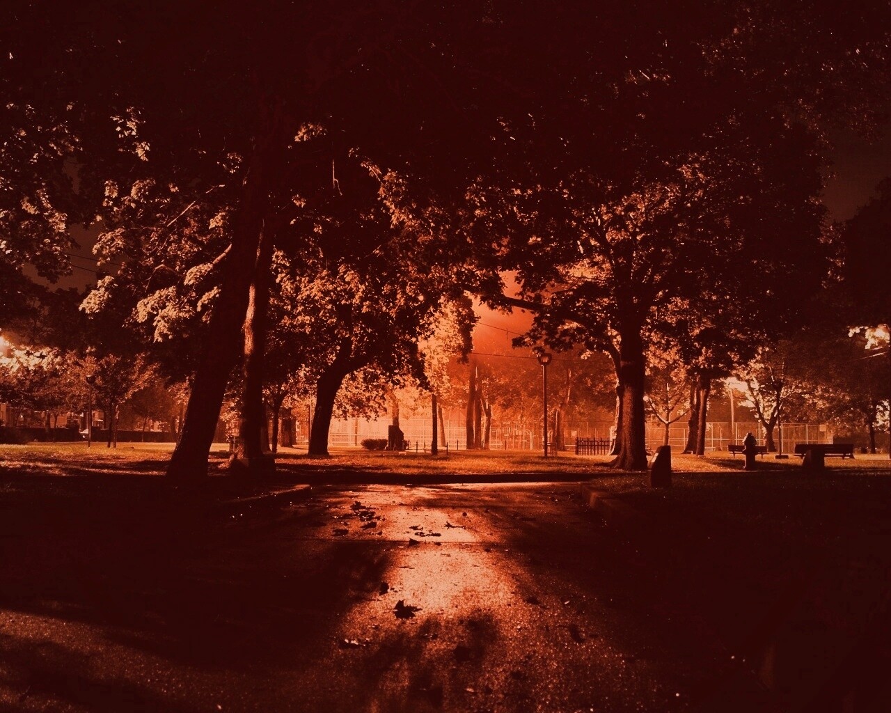Ночной парк обои