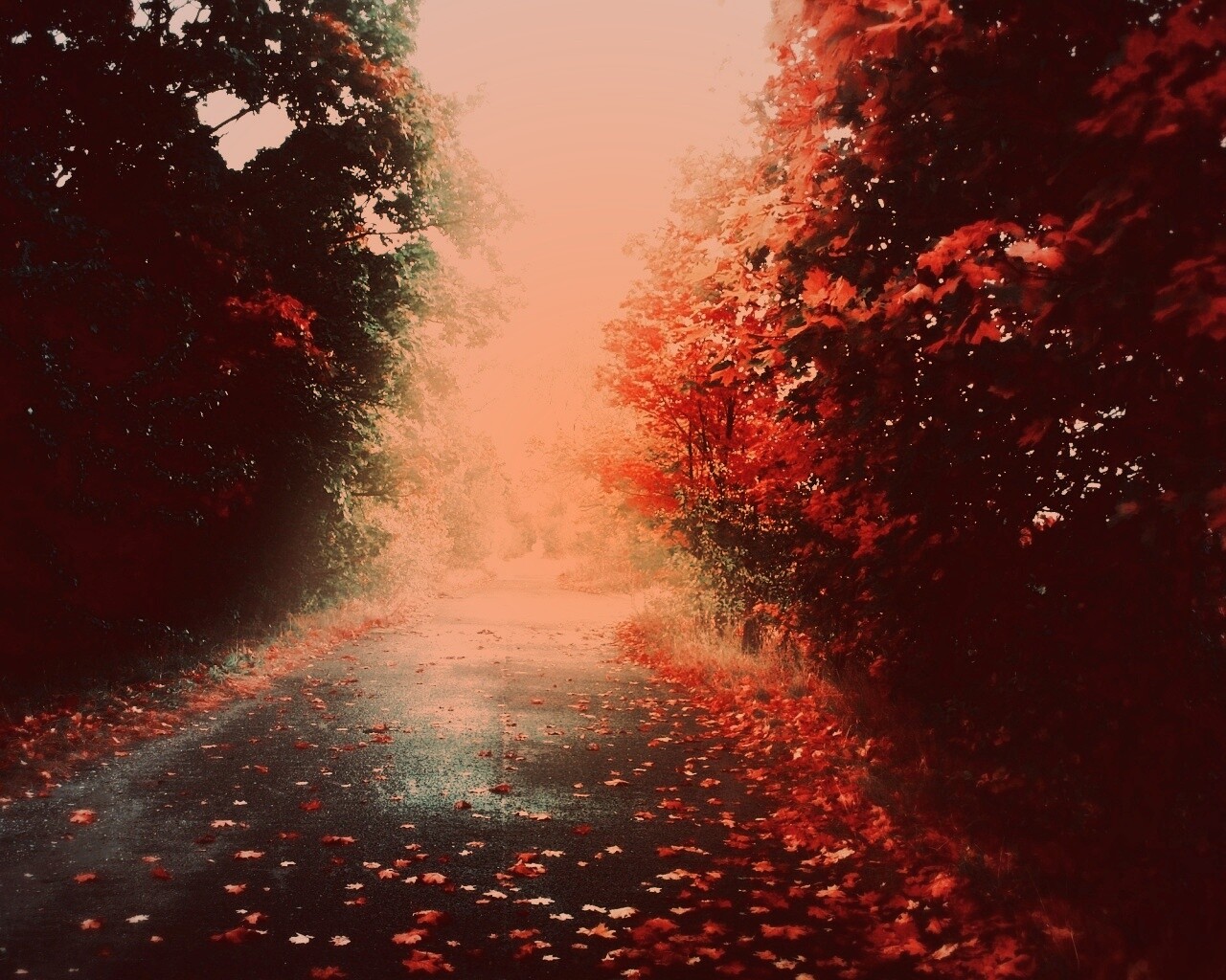 Желтая дорога обои