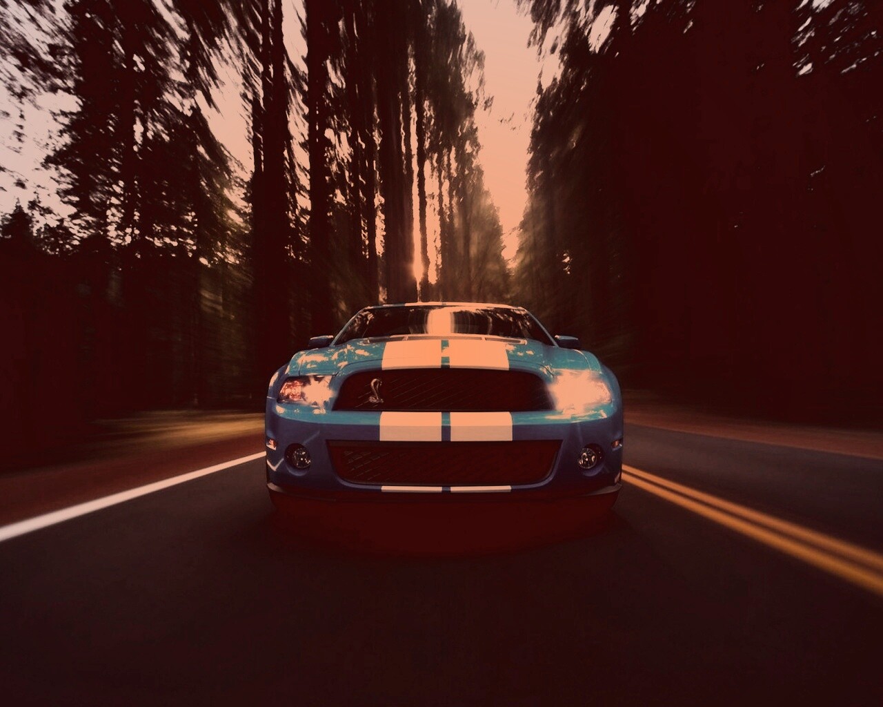 Форд Шелби обои