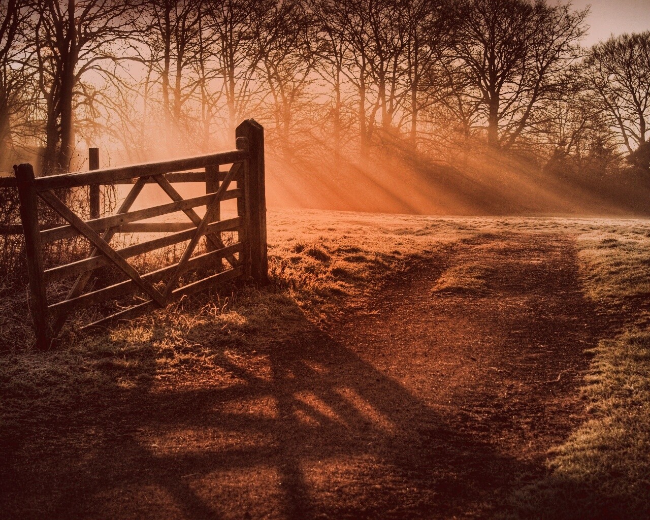 Открытые ворота обои