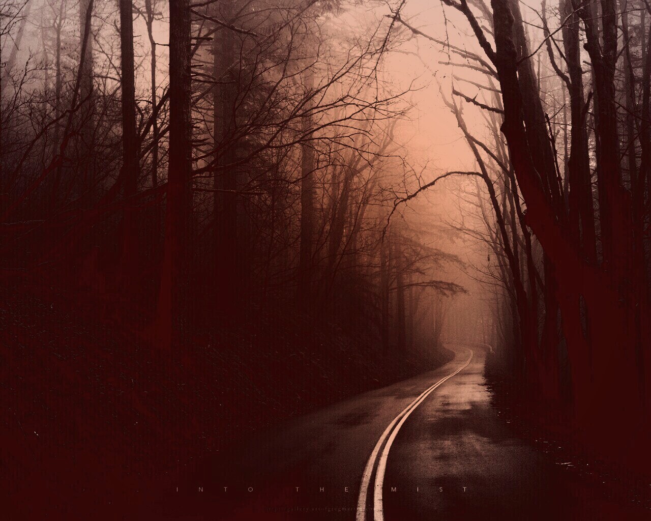 В туман обои