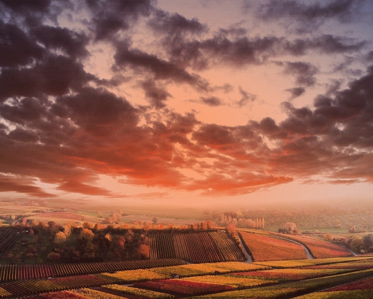 Обработанные земли в пригороде обои