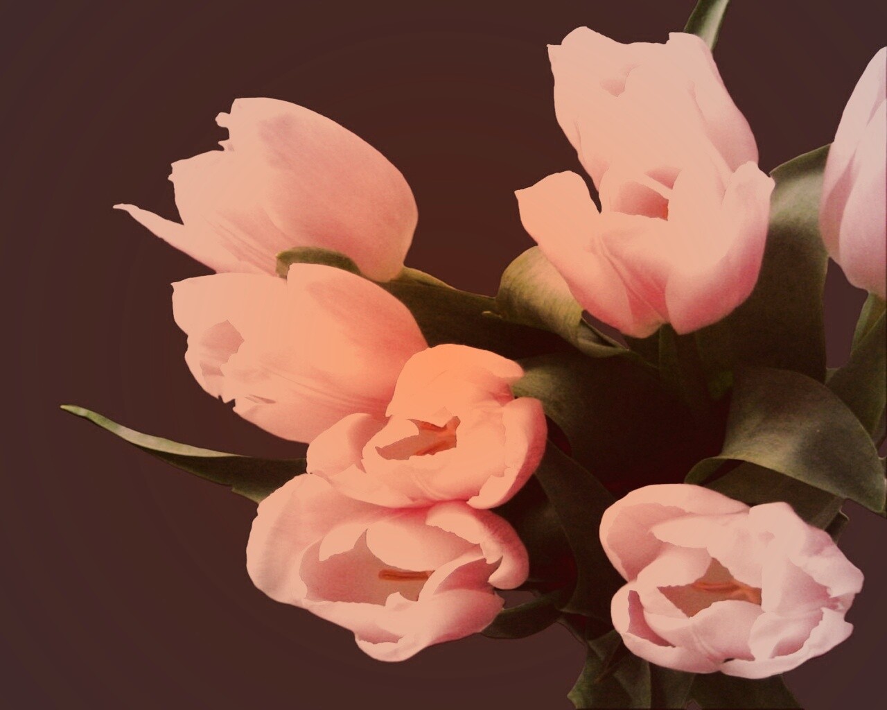 Розовый букет обои