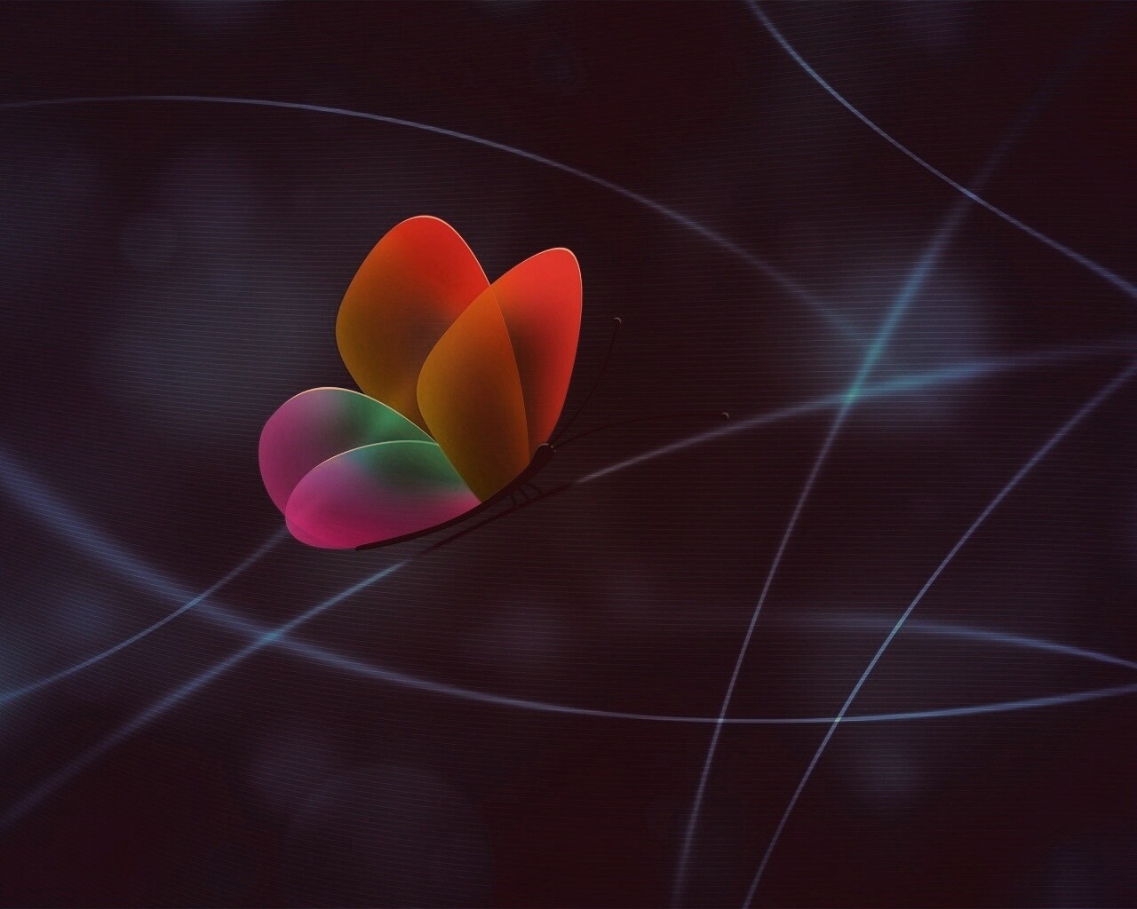 Бабочка с радужными крыльями обои