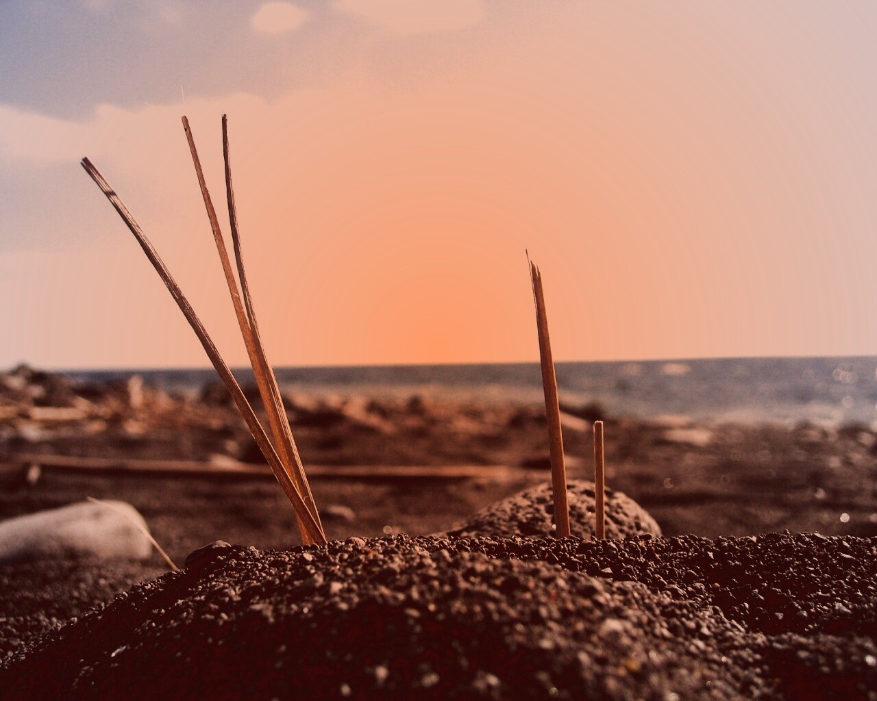 Солома на океанском берегу обои